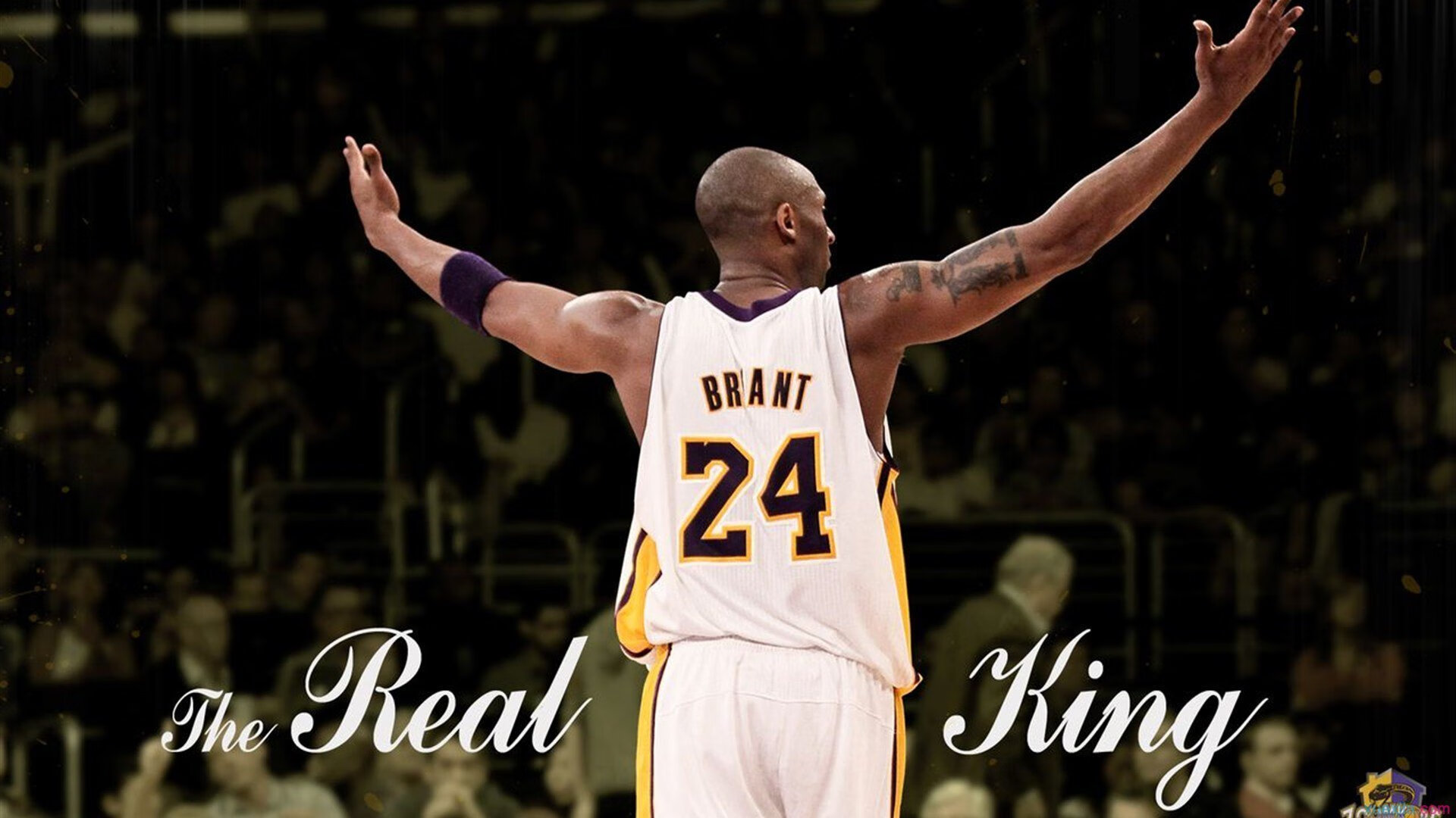 伊布赛后谦逊发言登热搜，莱比锡鏖战密尔沃基雄鹿引发热议